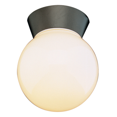 Trans Globe Lighting 4850 BK 1 Light Flush-mount in Black
